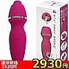 �y�Q�X�R�O�~�����ʌ���z����������l�l�P�_���聄�̏ڍ׏��